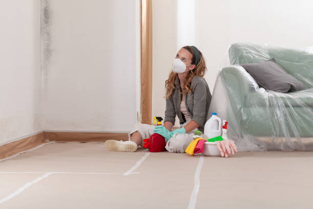 Reliable Mold Cleanup contractor in Fairview, NJ by Cheap Mold Removal